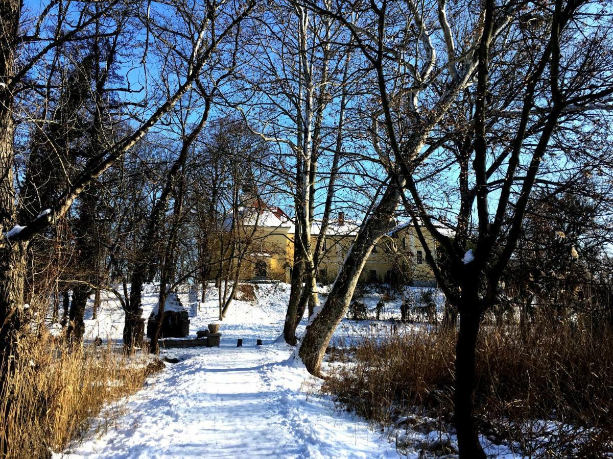 Vatus Apartmanhaz Vac Bagian luar foto